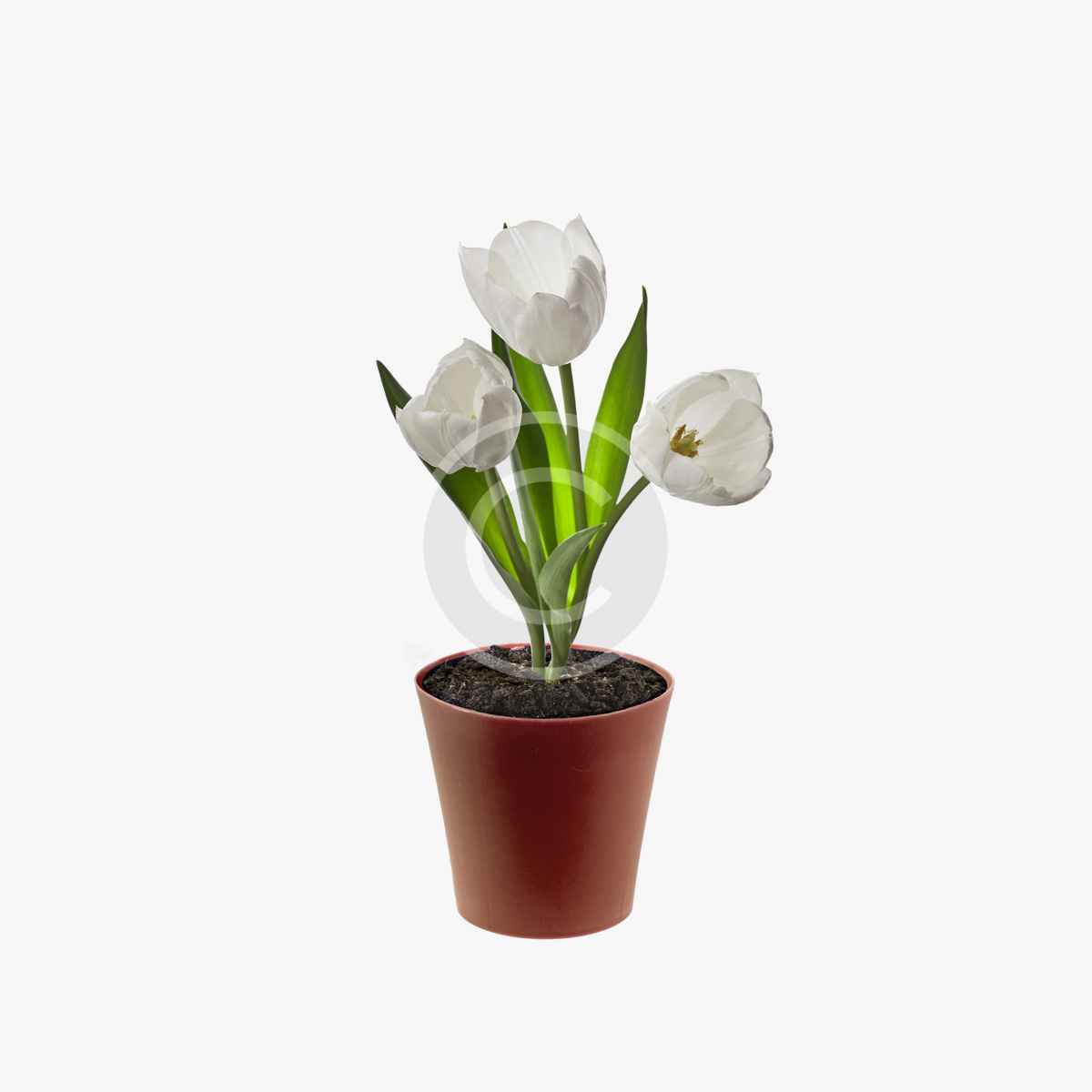 product-16