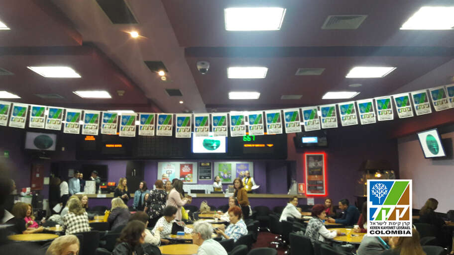 Bingo 2019