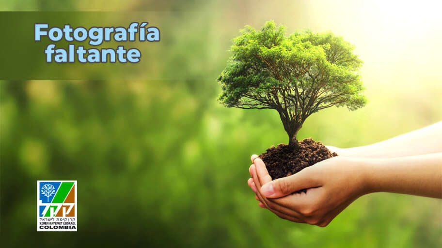 ¿Quiénes somos?
