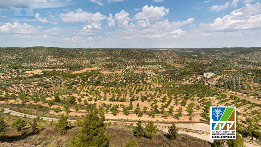 Planeación estratégica