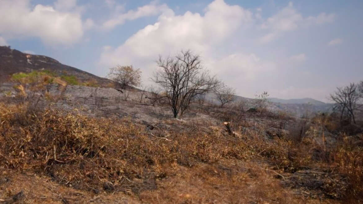 Nos solidarizamos con las autoridades ambientales de Cali
