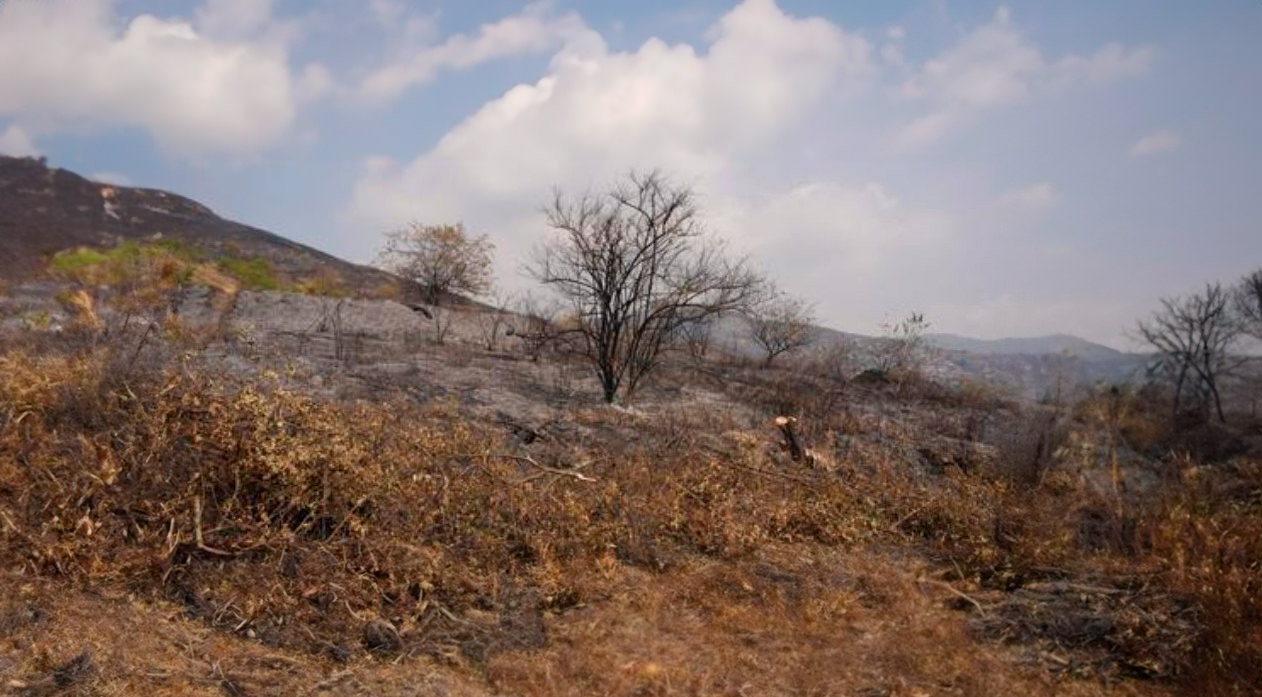 Nos solidarizamos con las autoridades ambientales de Cali
