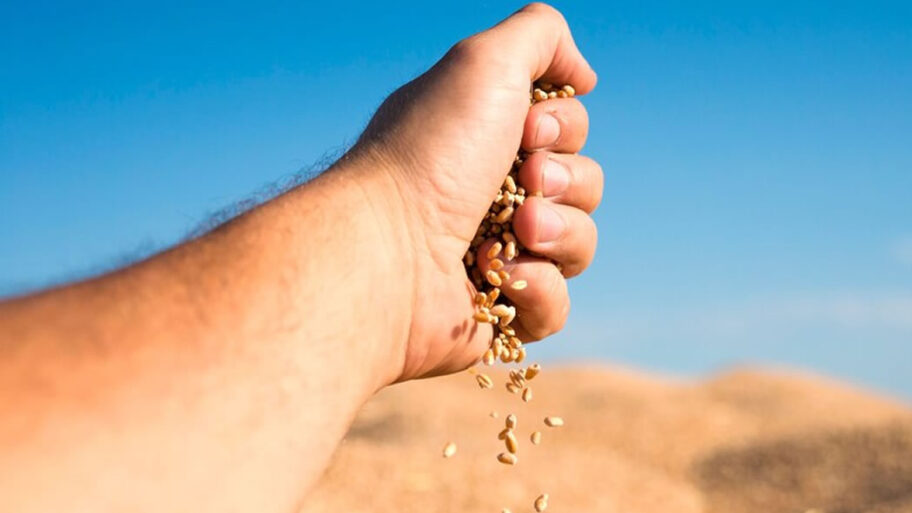 TU BISHVAT 2024